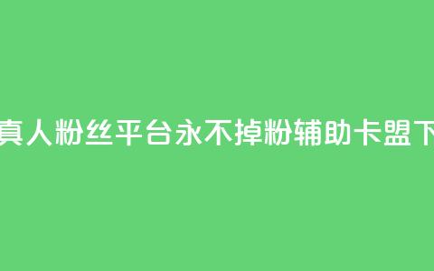 快手真人粉丝平台 永不掉粉 - CF辅助卡盟 第1张 快手真人粉丝平台 永不掉粉 - CF辅助卡盟 第1张