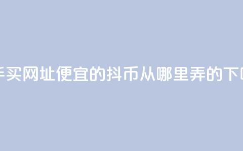 快手买call网址 - 便宜的抖币从哪里弄的 第1张 快手买call网址 - 便宜的抖币从哪里弄的 第1张