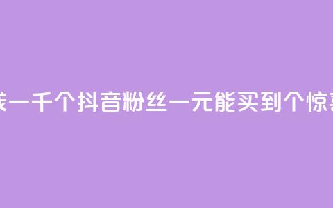 抖音粉丝一块钱一千个 - 抖音粉丝一元能买到1000个?惊喜大揭秘!~ 第1张 抖音粉丝一块钱一千个 - 抖音粉丝一元能买到1000个?惊喜大揭秘!~ 第1张