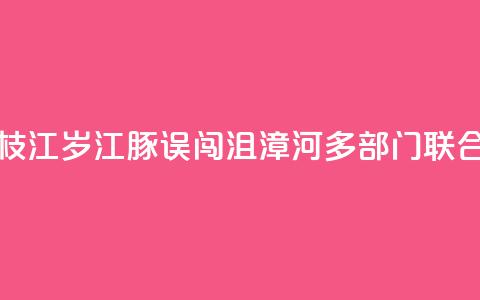 湖北枝江:2岁江豚误闯沮漳河 多部门联合救援 第1张 湖北枝江:2岁江豚误闯沮漳河 多部门联合救援 第1张