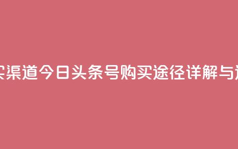今日头条号购买渠道 - 今日头条号购买途径详解与选择指南~ 第1张 今日头条号购买渠道 - 今日头条号购买途径详解与选择指南~ 第1张