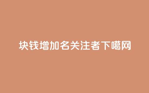 1块钱增加100名关注者 第1张 1块钱增加100名关注者 第1张