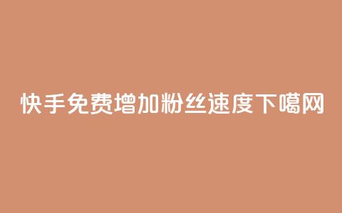 快手免费增加粉丝速度 第1张 快手免费增加粉丝速度 第1张