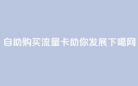 自助购买流量卡助你发展 第1张 自助购买流量卡助你发展 第1张