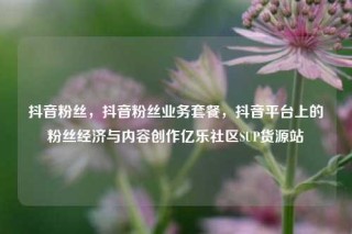 抖音粉丝，抖音粉丝业务套餐，抖音平台上的粉丝经济与内容创作亿乐社区SUP货源站