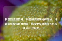 抖音涨流量网站，抖音涨流量网站有哪些，抖音如何高效提升流量，解锁更多曝光机会亿乐社区SUP货源站