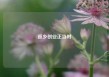 返乡创业正当时