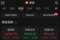 标普500指数连涨四日，大型科技股多数下跌