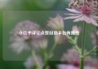 小红书评论点赞自助平台有哪些