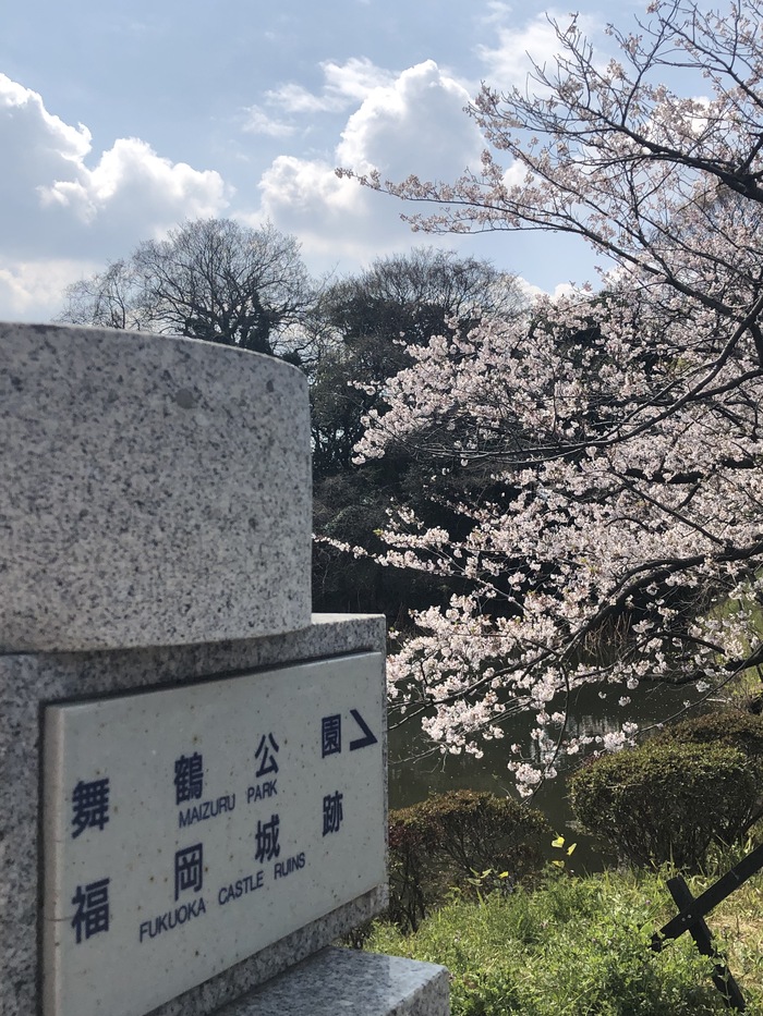 花开之处，便是故地  第16张