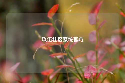 玖伍社区系统官方  第1张
