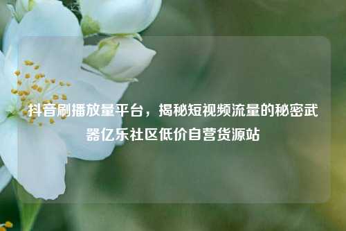 抖音刷播放量平台，揭秘短视频流量的秘密武器亿乐社区低价自营货源站  第1张