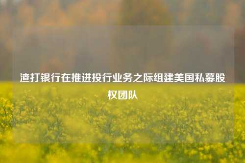 渣打银行在推进投行业务之际组建美国私募股权团队  第1张