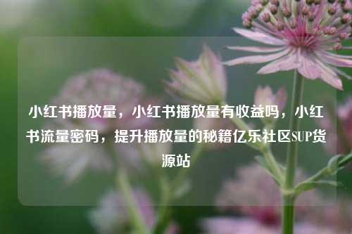 小红书播放量，小红书播放量有收益吗	，小红书流量密码，提升播放量的秘籍亿乐社区SUP货源站  第1张