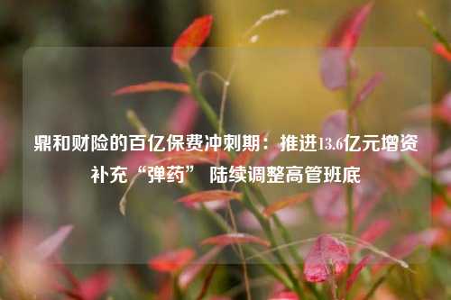 鼎和财险的百亿保费冲刺期：推进13.6亿元增资补充“弹药” 陆续调整高管班底  第1张