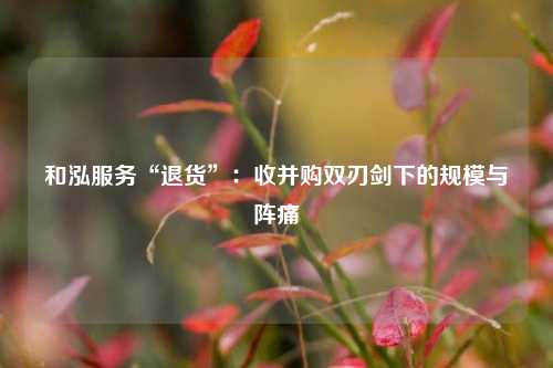 和泓服务“退货	”：收并购双刃剑下的规模与阵痛  第1张