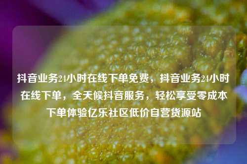 抖音业务24小时在线下单免费，抖音业务24小时在线下单，全天候抖音服务	，轻松享受零成本下单体验亿乐社区低价自营货源站  第1张