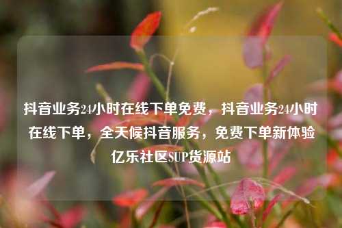 抖音业务24小时在线下单免费，抖音业务24小时在线下单	，全天候抖音服务，免费下单新体验亿乐社区SUP货源站  第1张