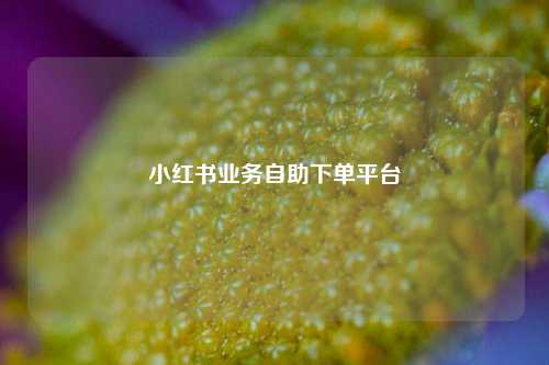 小红书业务自助下单平台  第1张