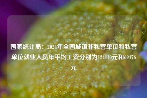国家统计局：2024年全国城镇非私营单位和私营单位就业人员年平均工资分别为124110元和69476元  第1张