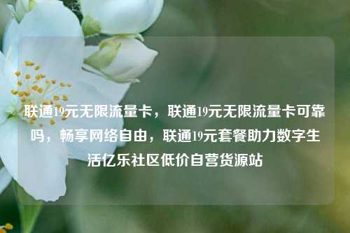 联通19元无限流量卡，联通19元无限流量卡可靠吗，畅享网络自由	，联通19元套餐助力数字生活亿乐社区低价自营货源站  第1张
