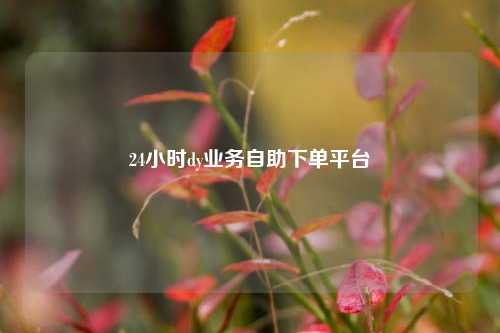 24小时dy业务自助下单平台  第1张