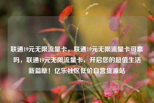 联通19元无限流量卡，联通19元无限流量卡可靠吗	，联通19元无限流量卡，开启您的超值生活新篇章！亿乐社区低价自营货源站  第1张