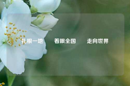 扎根一地  着眼全国  走向世界  第1张