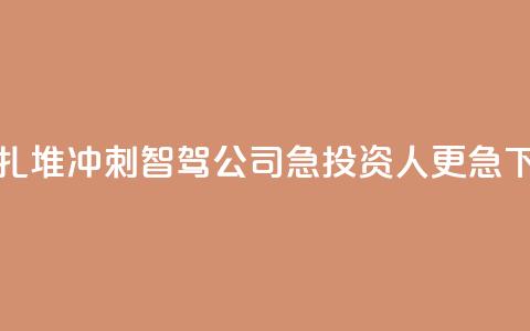 逆风扎堆冲刺IPO	，智驾公司急，投资人更急  第1张