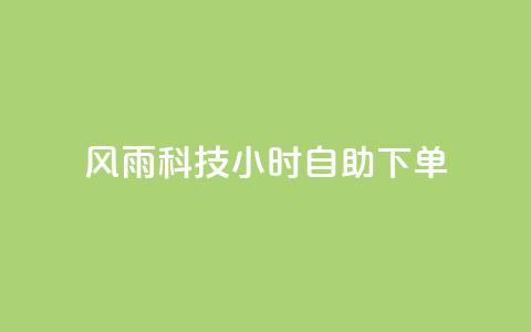 风雨科技24小时自助下单 - 风雨科技24小时自助服务订购! 第1张 风雨科技24小时自助下单 - 风雨科技24小时自助服务订购! 第1张