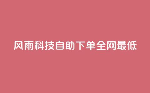 风雨科技自助下单全网最低 - 风雨科技自助下单享受全网最低价格攻略~ 第1张 风雨科技自助下单全网最低 - 风雨科技自助下单享受全网最低价格攻略~ 第1张