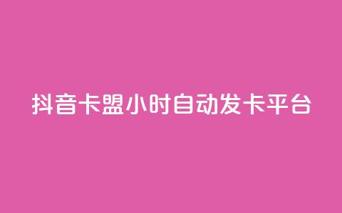 抖音卡盟24小时自动发卡平台,颜夕卡盟 - 全网辅助货源站 快手点赞评论软件微信支付  第1张