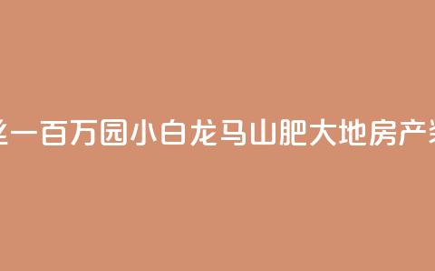 快手粉丝一百万0.01园小白龙马山肥大地房产装修网站,ks便宜的下单平台 - dy低价下单平台最便宜 qq业务网站平台  第1张