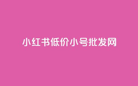 小红书低价小号批发网,卡盟24小时自助下单业务 - 王者荣耀主页刷热度网站 抖音粉丝和挂车数量  第1张