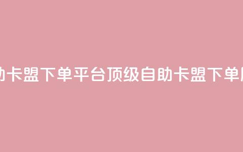 自助卡盟下单平台：顶级自助卡盟下单服务  第1张