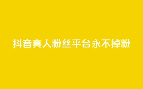 抖音真人粉丝平台 永不掉粉,qq空间偷看工具2024 - 抖音点赞清理器 快手24小时业务平台  第1张