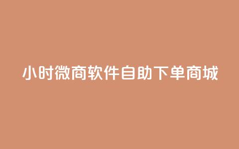 24小时微商软件自助下单商城 - 一天内轻松购物，体验自助下单的微商软件商城~  第1张