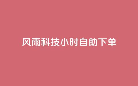 风雨科技24小时自助下单 - 风雨科技推出全天候自助下单服务~  第1张