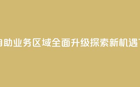 快手自助业务区域全面升级探索新机遇  第1张