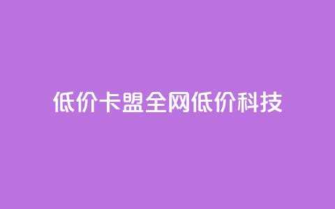 低价卡盟全网低价科技,便宜充qq会员 - 拼多多电商 拼多多助力工具v3最新版  第1张