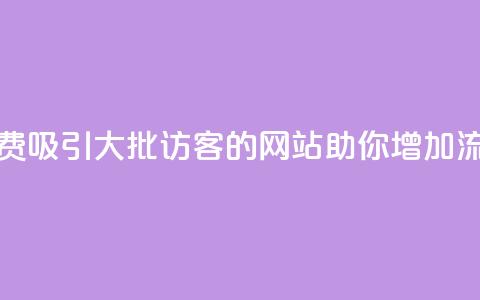 免费吸引大批访客的网站助你增加流量  第1张