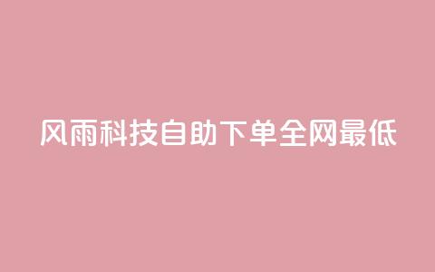 风雨科技自助下单全网最低,全民k歌粉丝业务 - 子潇网络老马低价下单 QQ充值  第1张