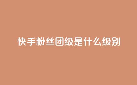 快手粉丝团62级是什么级别,qq业务在线下单平台入口登录苹果版 - qq空间视频浏览次数怎么算 cf科技卡盟平台  第1张