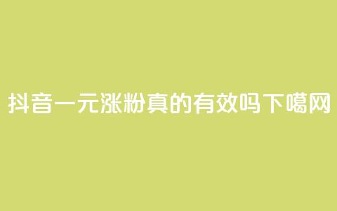 抖音一元涨粉真的有效吗? 第1张 抖音一元涨粉真的有效吗? 第1张