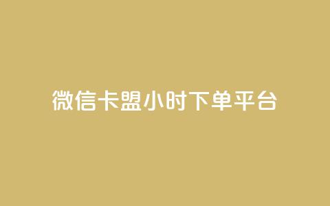 微信卡盟24小时下单平台 - 微信卡盟全天候下单平台介绍。  第1张