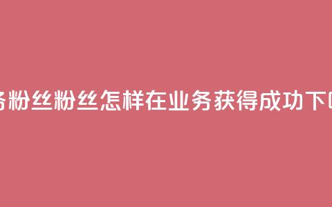 ks业务粉丝 - 粉丝怎样在KS业务获得成功!  第1张