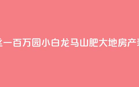 快手粉丝一百万0.01园小白龙马山肥大地房产装修网站,dy低价业务平台 - ks24小时自助快手业务 ks业务自助下单货源最低价  第1张