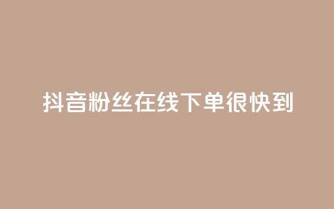 抖音粉丝在线下单很快到,抖音50级账号出售多少钱 - 抖音推广代运营 快手推广引流  第1张