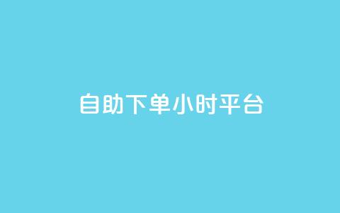 自助下单24小时平台Xhs - 便捷高效！24小时自助下单平台Xhs, 快速满足您的需求!  第1张