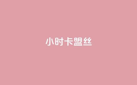 24小时卡盟丝 - 傲世卡盟  第1张